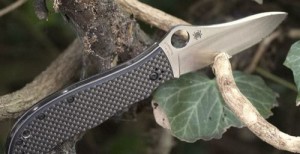 Spyderco Gayle Bradley 1