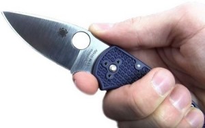 Spyderco Native 5 S110V FRN