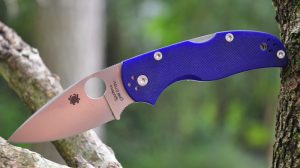 Spyderco Native 5 S110V G10