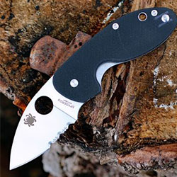 spotlight-spydercoinsistent