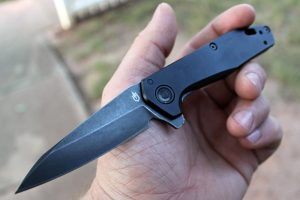 Gerber Fastball