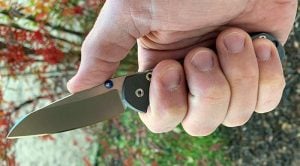 Chris Reeve Sebenza Insingo