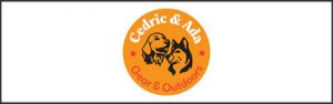 critic-cedricada-400