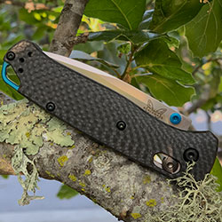 spotlight-bugoutCF