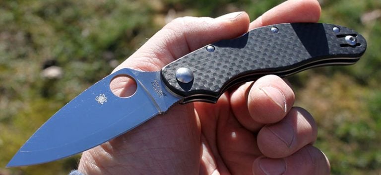 Spyderco Caly 3 Review | Knife Informer
