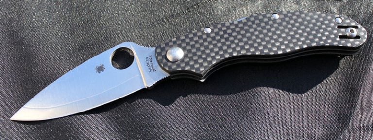 Spyderco Caly 3 Review | Knife Informer