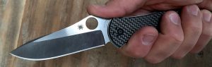 Spyderco Gayle Bradley 2