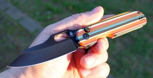 Kizer Cormorant