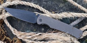 WE Knife Evoke