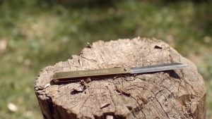 The Higo no Kami on a tree stomp