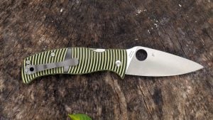 Spyderco Caribbean